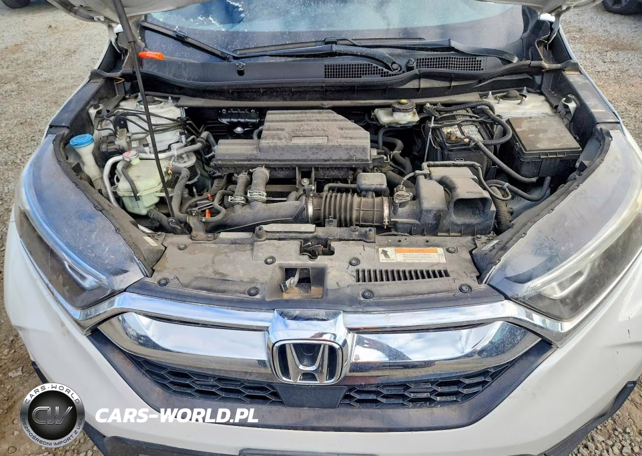 2019 Honda Cr-V Exl VIN:7FARW1H83KE037865 - 12