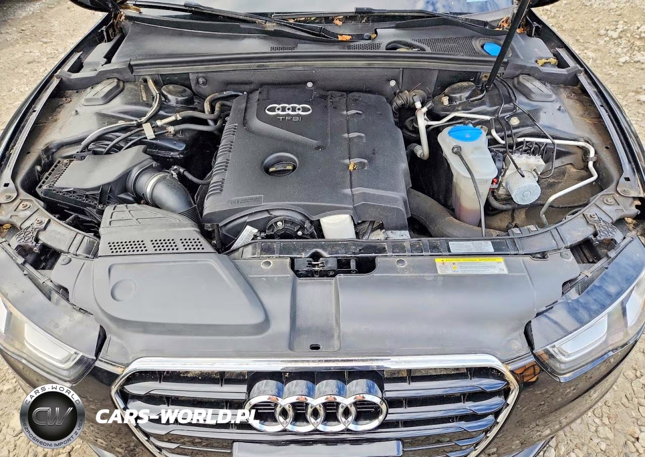 2014 Audi A5 Premium Plus VIN:WAULFAFH0EN009187 - 11