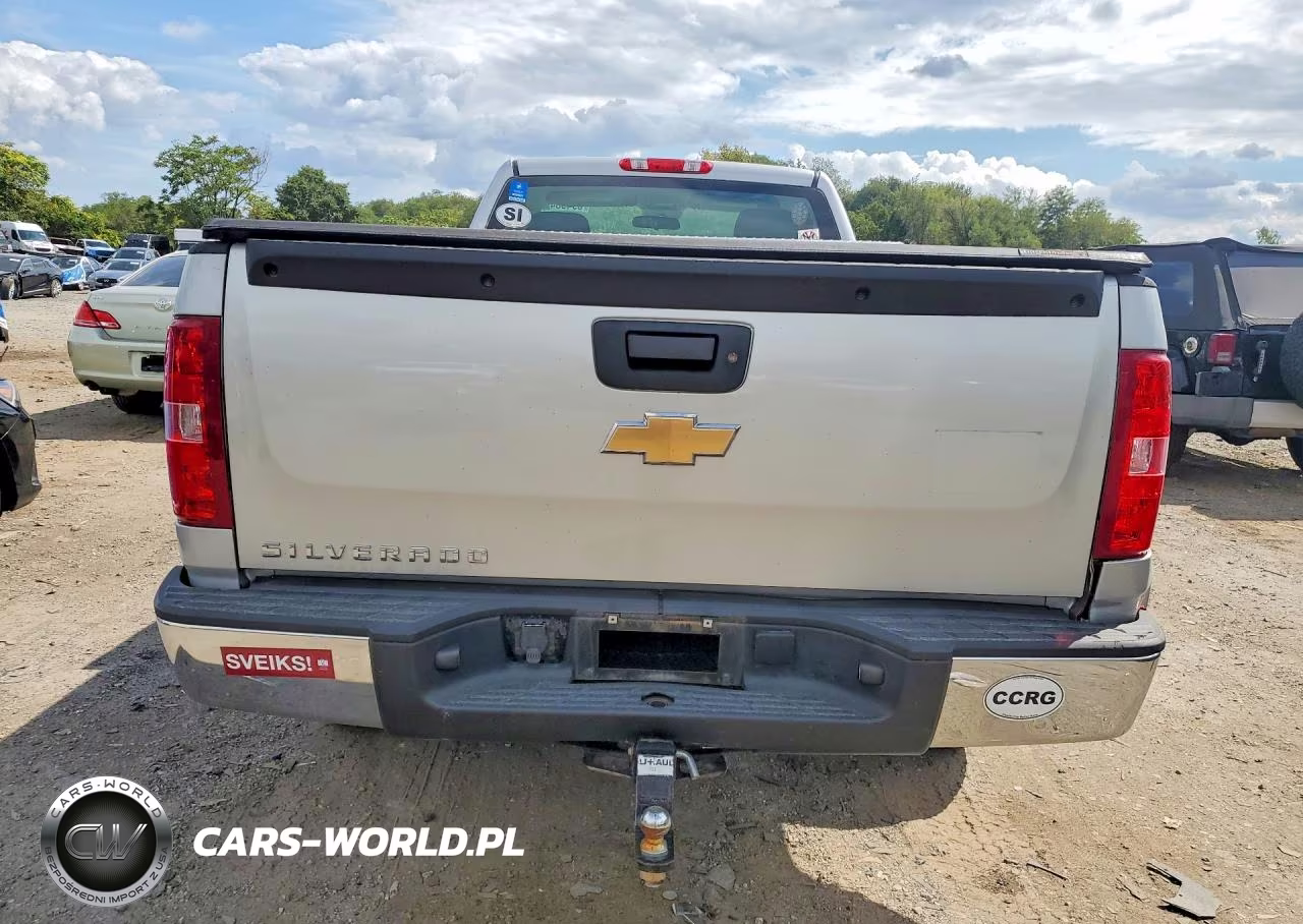 2010 Chevrolet Silverado K1500 VIN:1GCPKPEX4AZ185562 - 6