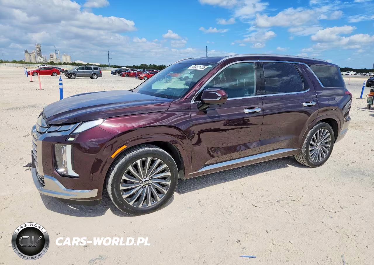 2023 Hyundai Palisade Calligraphy VIN:KM8R7DGE3PU516508 - 1