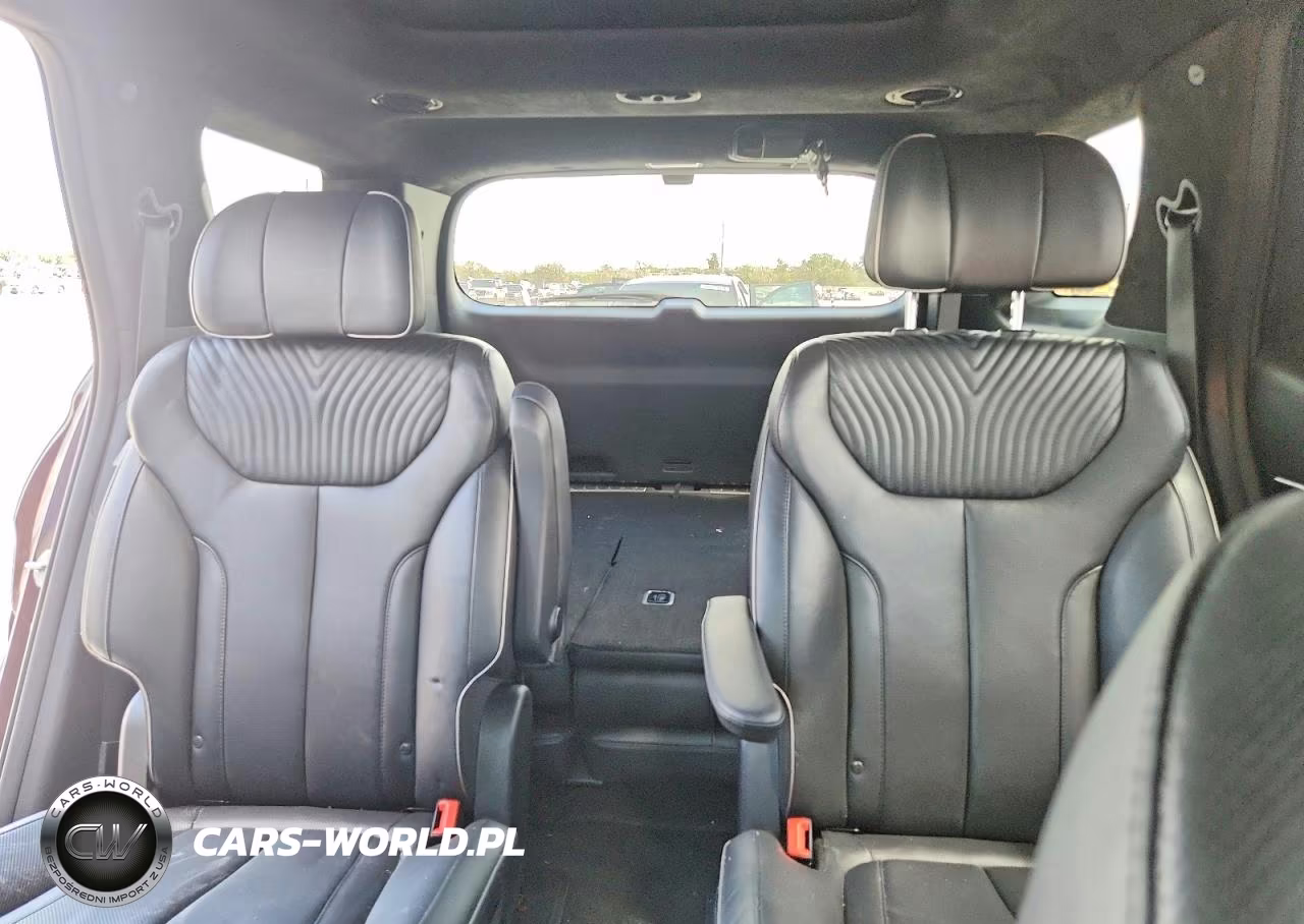 2023 Hyundai Palisade Calligraphy VIN:KM8R7DGE3PU516508 - 10