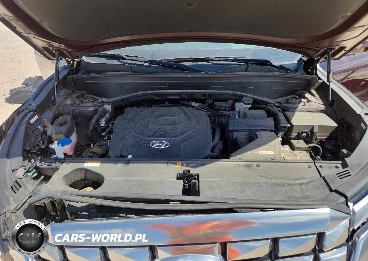 2023 Hyundai Palisade Calligraphy VIN:KM8R7DGE3PU516508 - 12