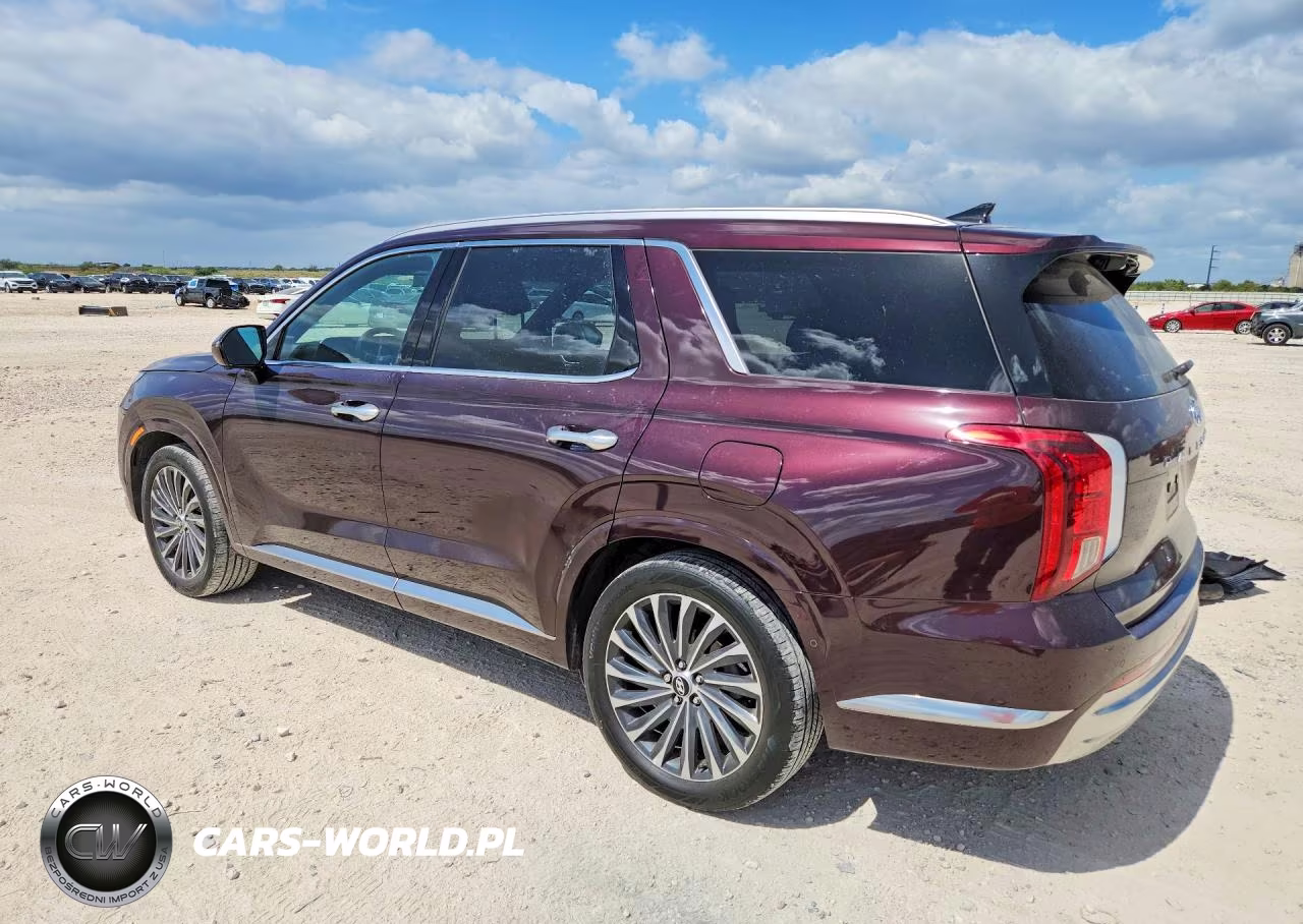 2023 Hyundai Palisade Calligraphy VIN:KM8R7DGE3PU516508 - 2