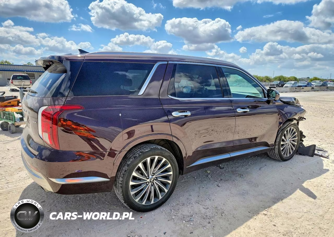 2023 Hyundai Palisade Calligraphy VIN:KM8R7DGE3PU516508 - 3