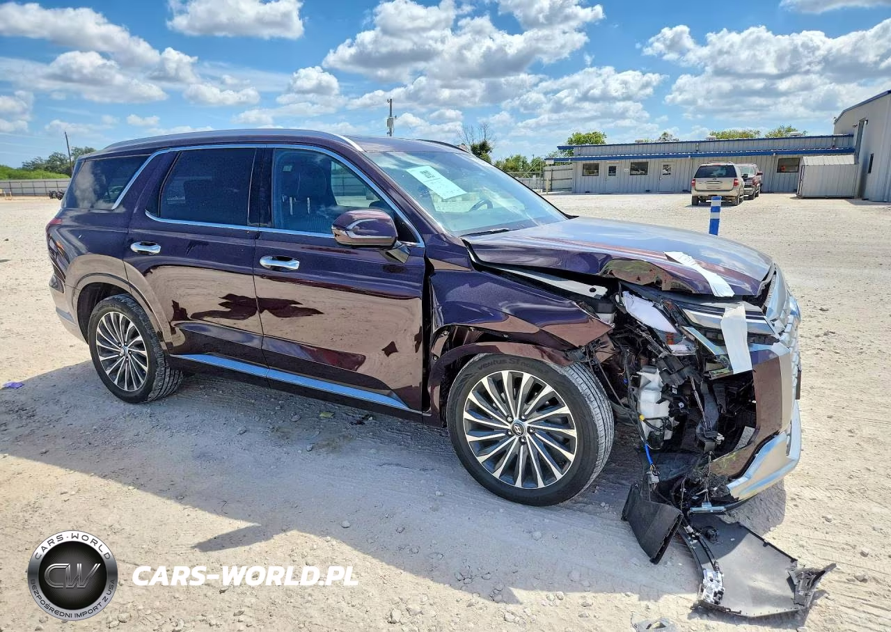 2023 Hyundai Palisade Calligraphy VIN:KM8R7DGE3PU516508 - 4
