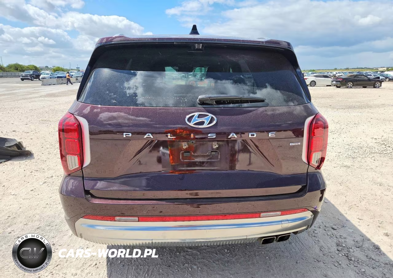 2023 Hyundai Palisade Calligraphy VIN:KM8R7DGE3PU516508 - 6