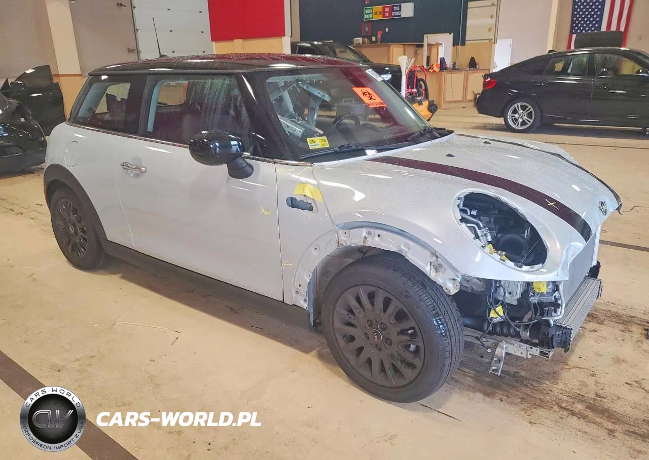 2020 Mini Cooper VIN:WMWXR3C03L2M03929 - 4