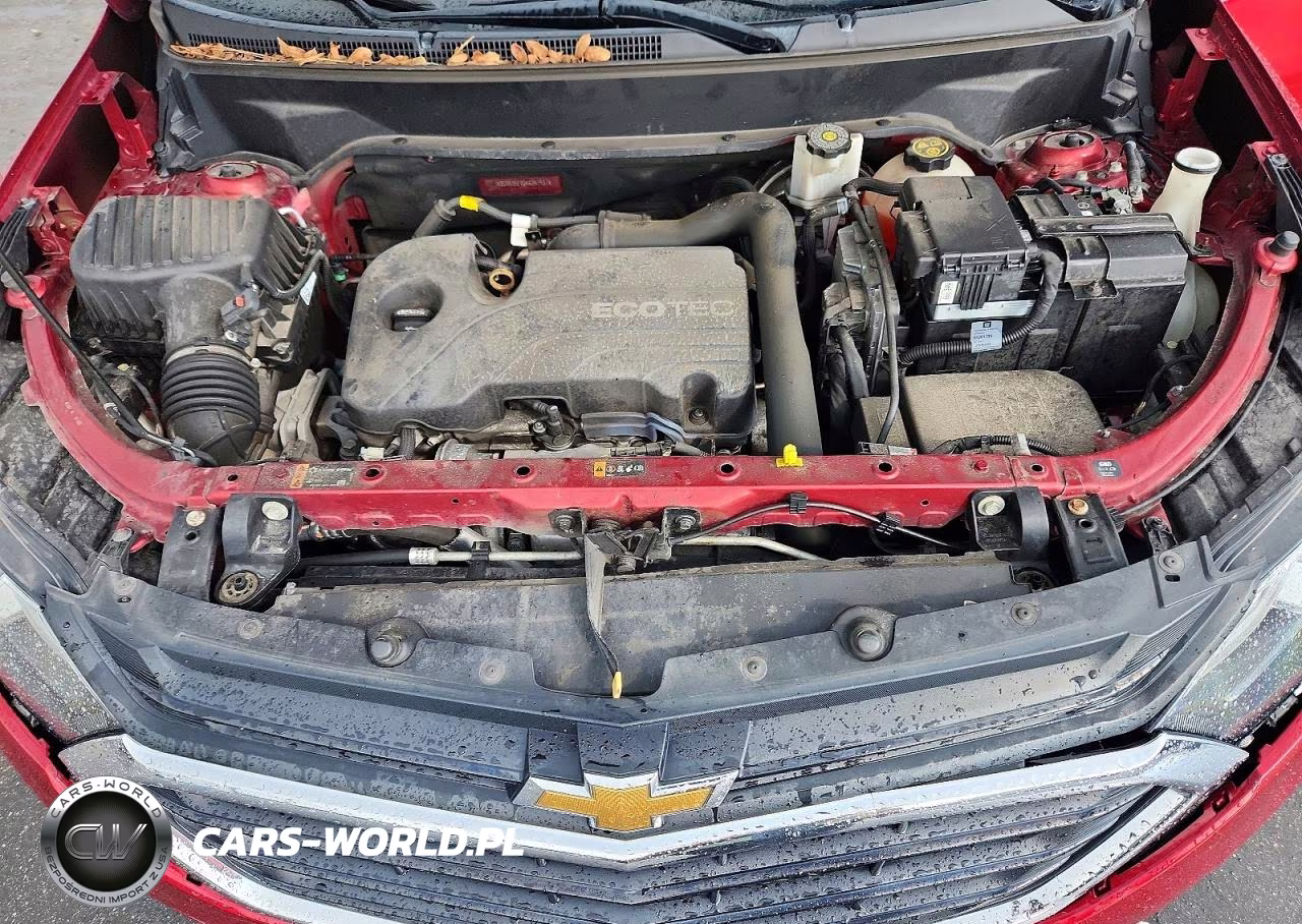 2019 Chevrolet Equinox Lt VIN:2GNAXKEV2K6257937 - 12