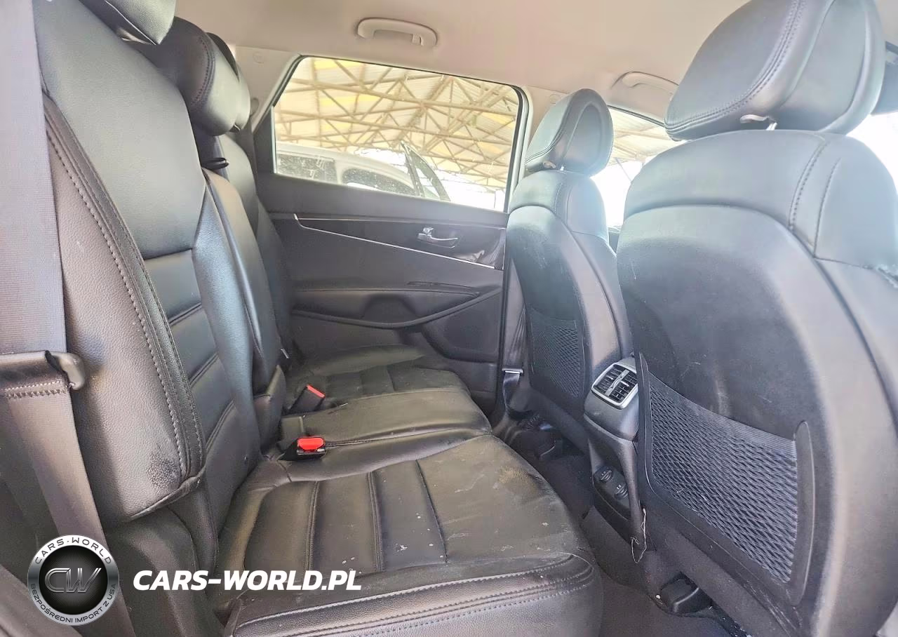 2016 Kia Sorento Lx VIN:5XYPGDA37GG164621 - 10