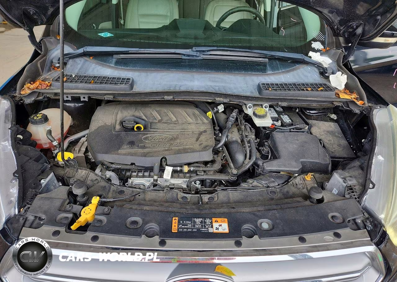 2017 Ford Escape Titanium VIN:1FMCU0JD1HUC73287 - 12