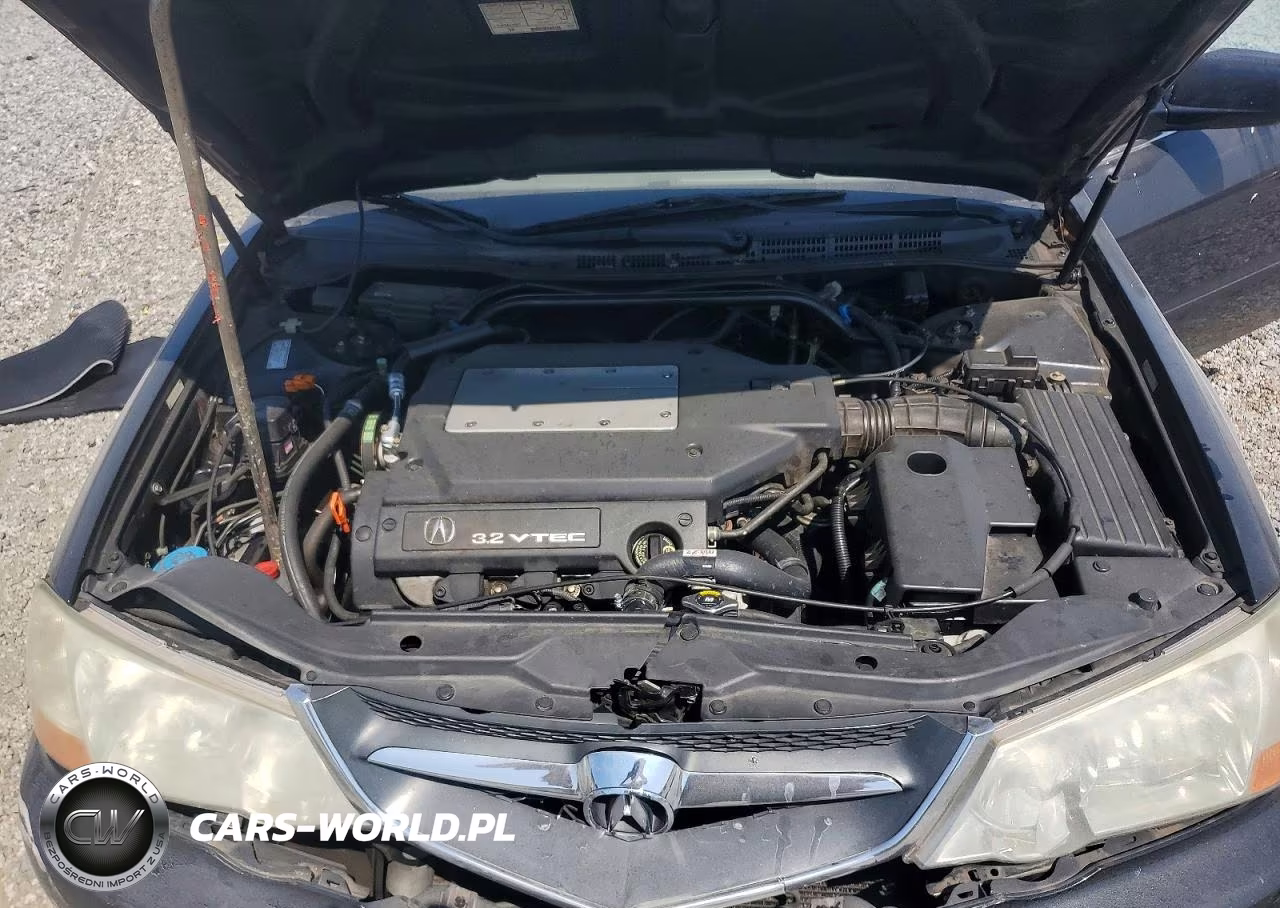 2003 Acura 3.2Tl VIN:19UUA56623A083289 - 11