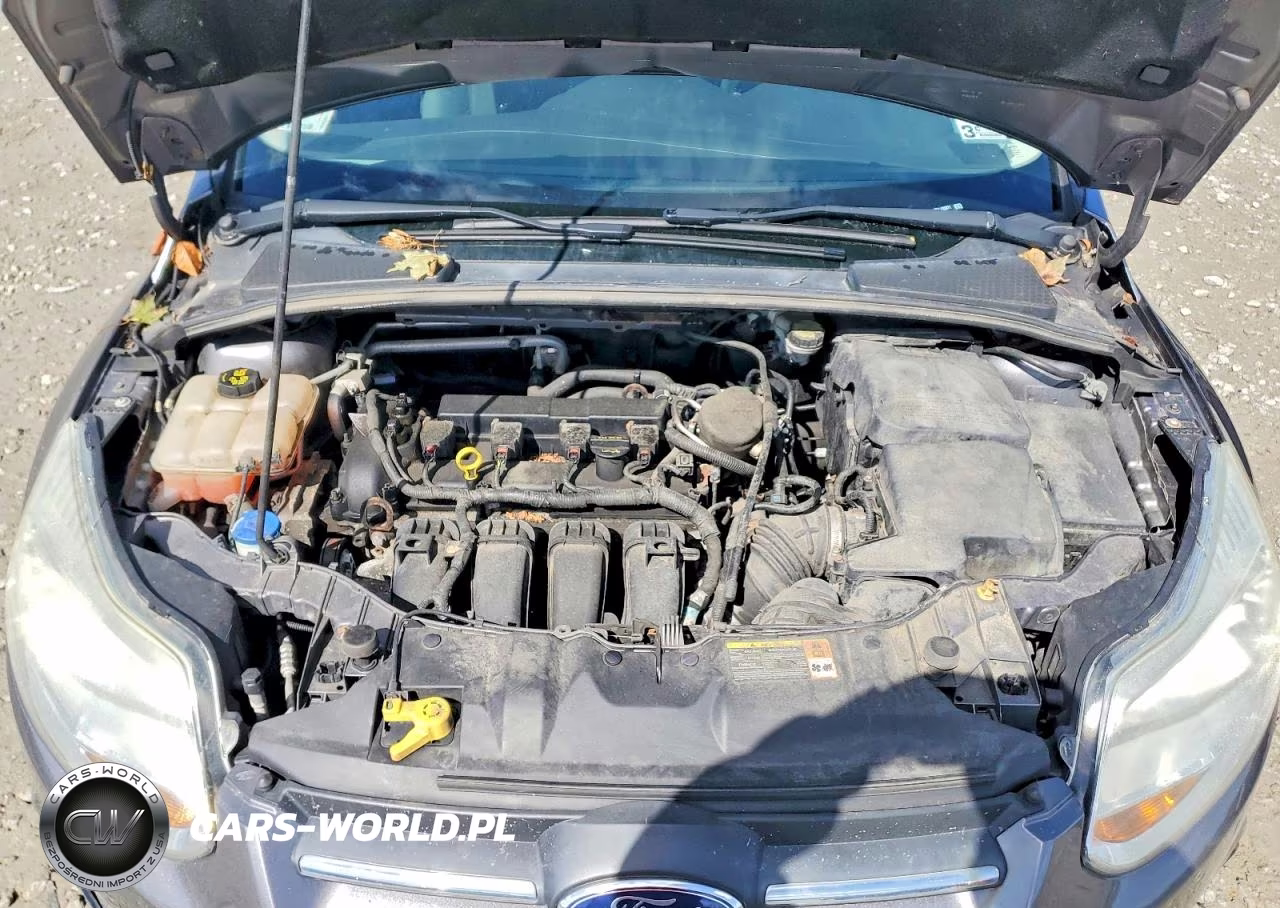 2014 Ford Focus Se VIN:1FADP3K27EL125571 - 11