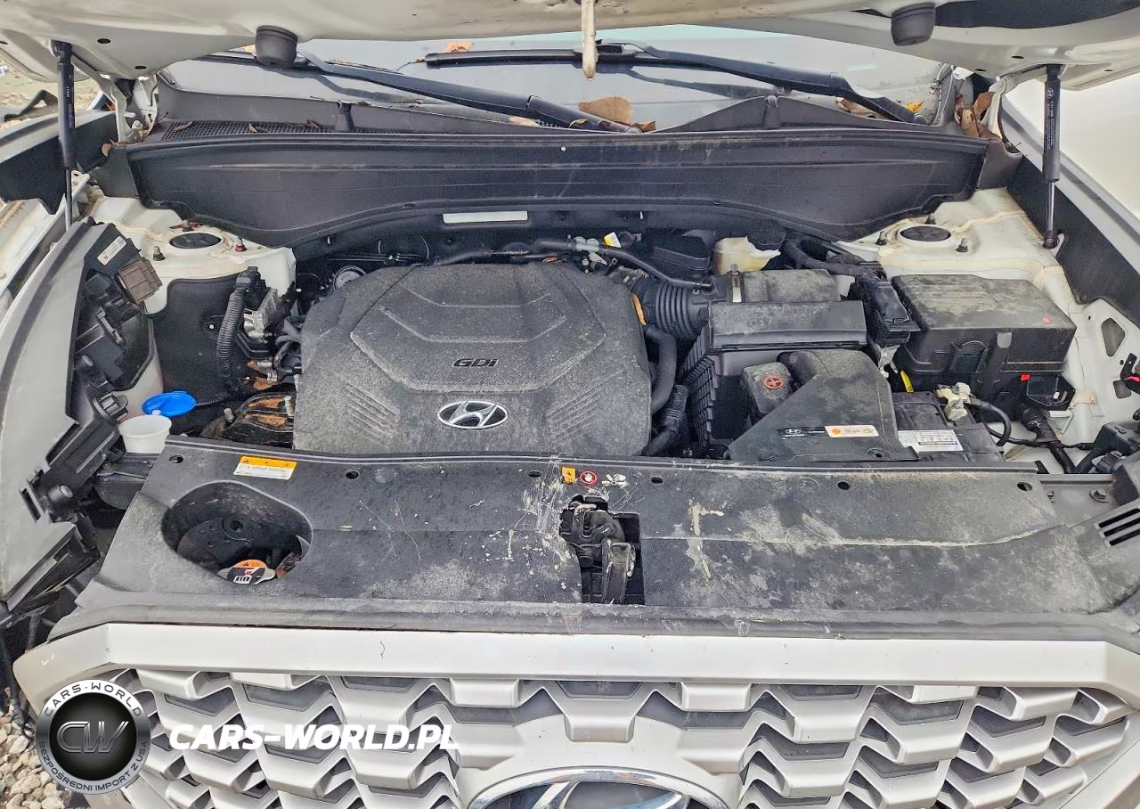 2022 Hyundai Palisade Sel VIN:KM8R4DHE2NU369215 - 12