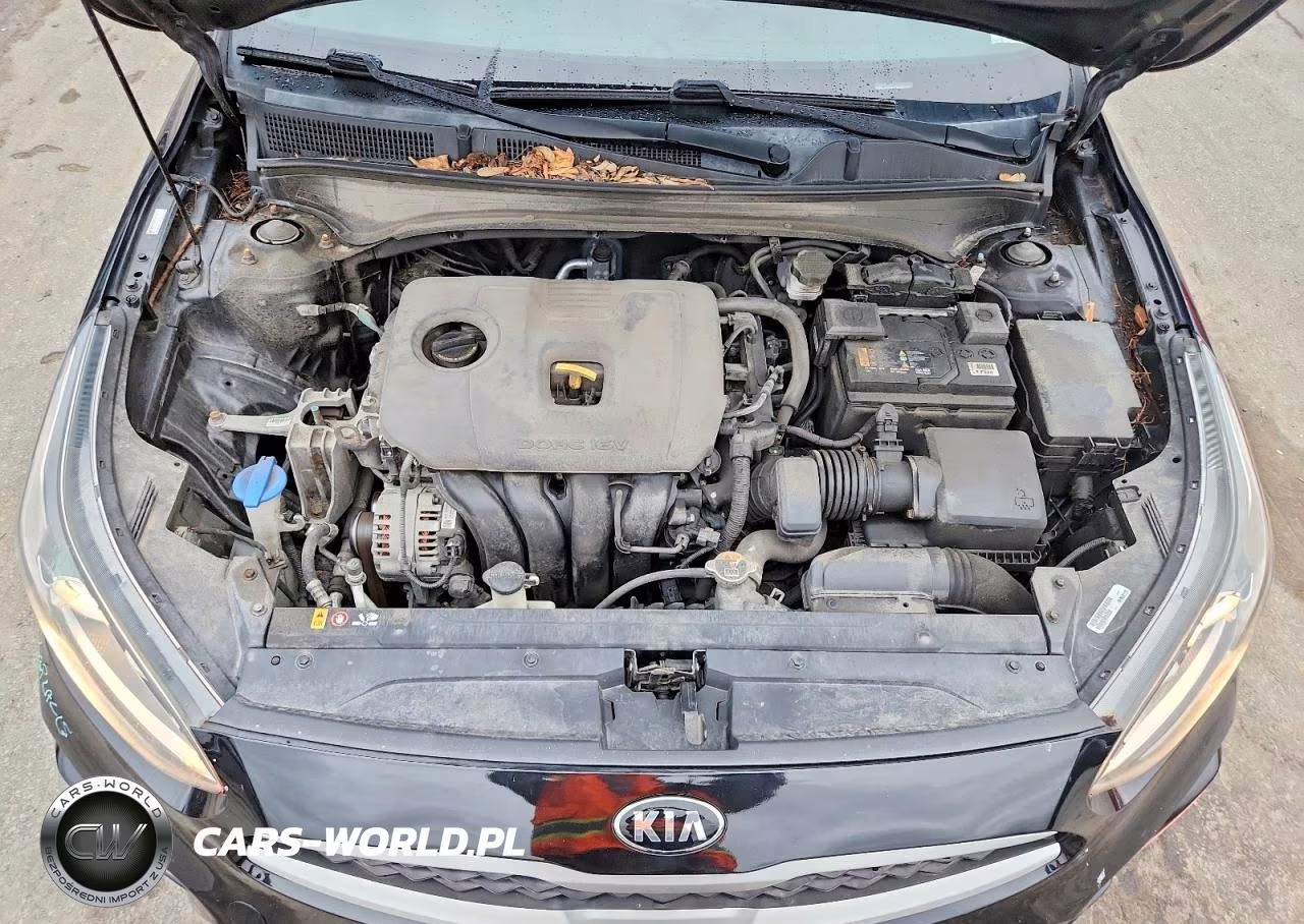 2019 Kia Forte Lxs VIN:3KPF24AD3KE107440 - 11
