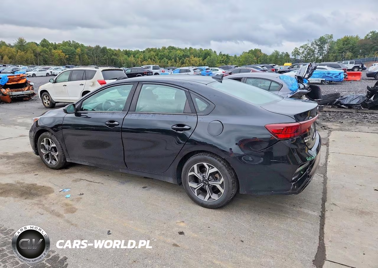 2019 Kia Forte Lxs VIN:3KPF24AD3KE107440 - 2