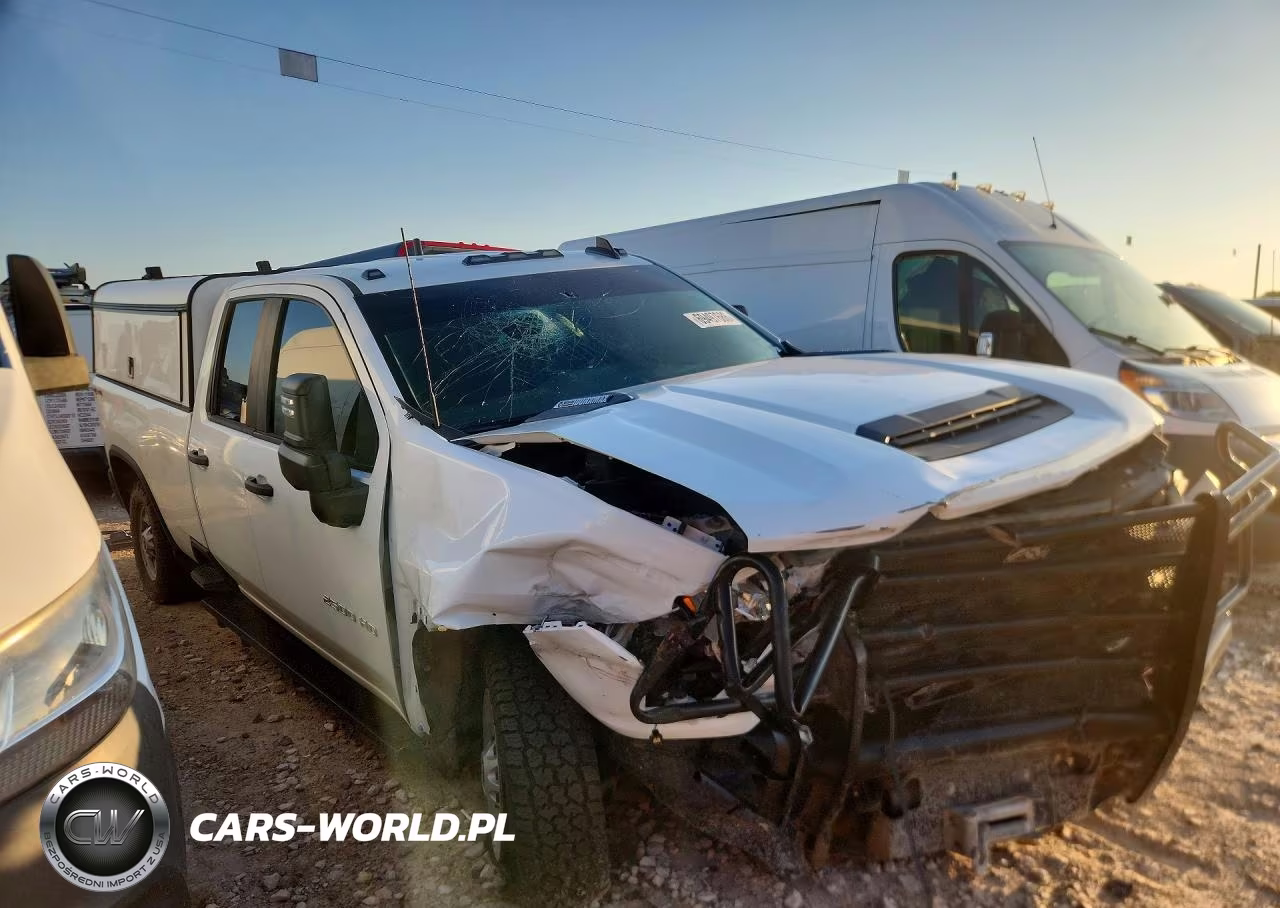 2020 Chevrolet Silverado K2500 Heavy Duty VIN:1GC2YLEY4LF290570 - 4