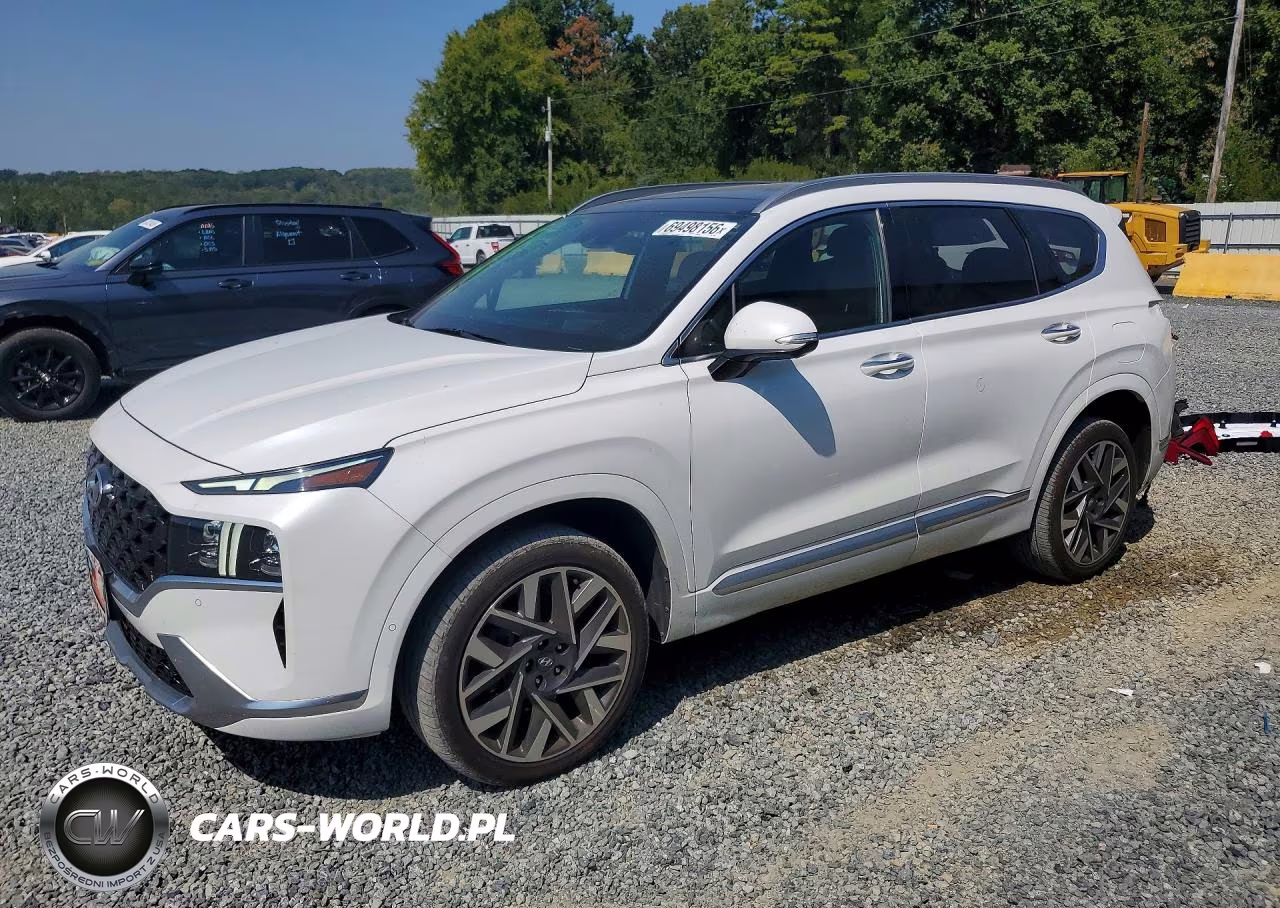2021 Hyundai Santa Fe Calligraphy VIN:5NMS5DAL9MH348413 - 1