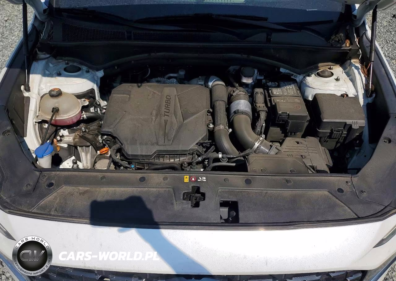 2021 Hyundai Santa Fe Calligraphy VIN:5NMS5DAL9MH348413 - 12