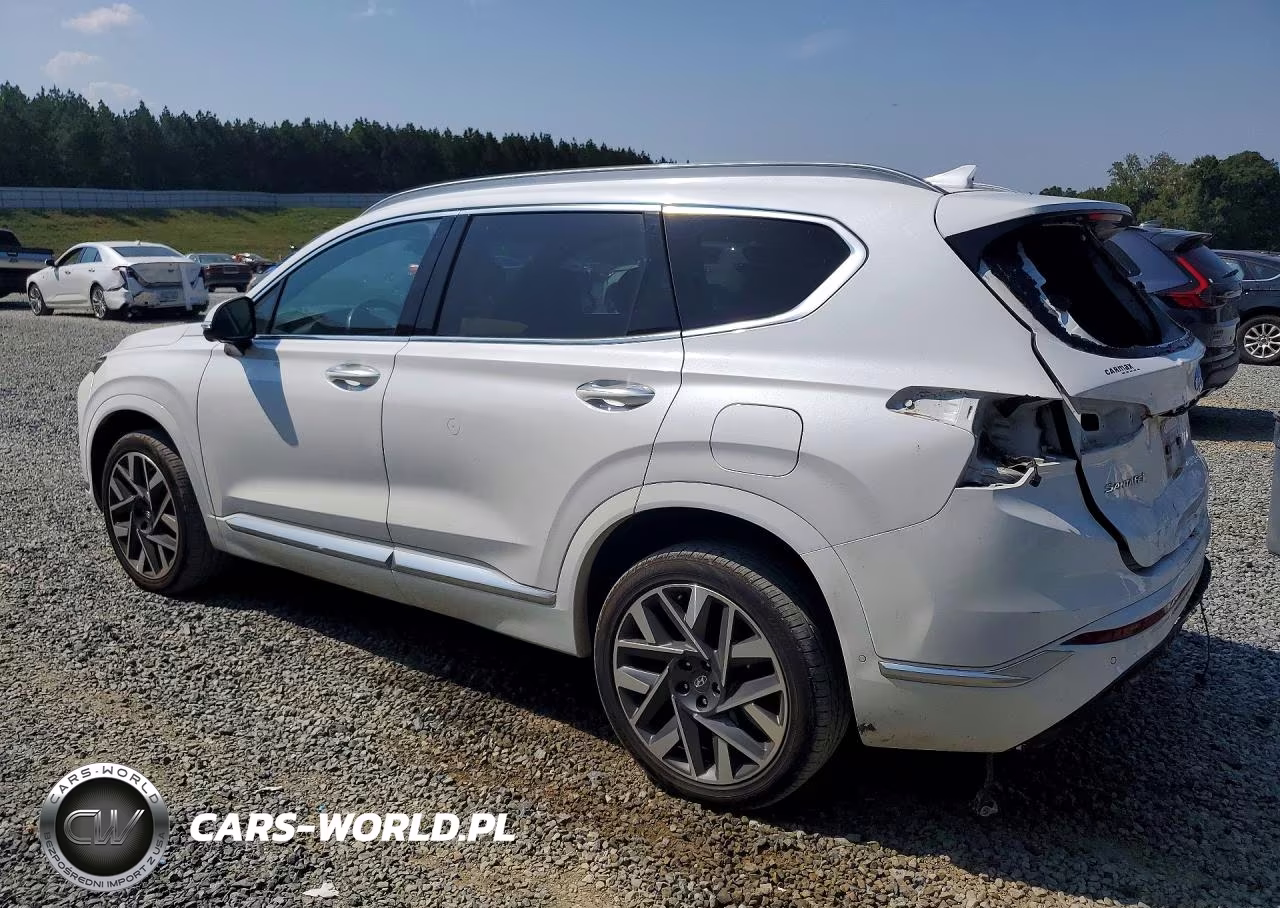 2021 Hyundai Santa Fe Calligraphy VIN:5NMS5DAL9MH348413 - 2