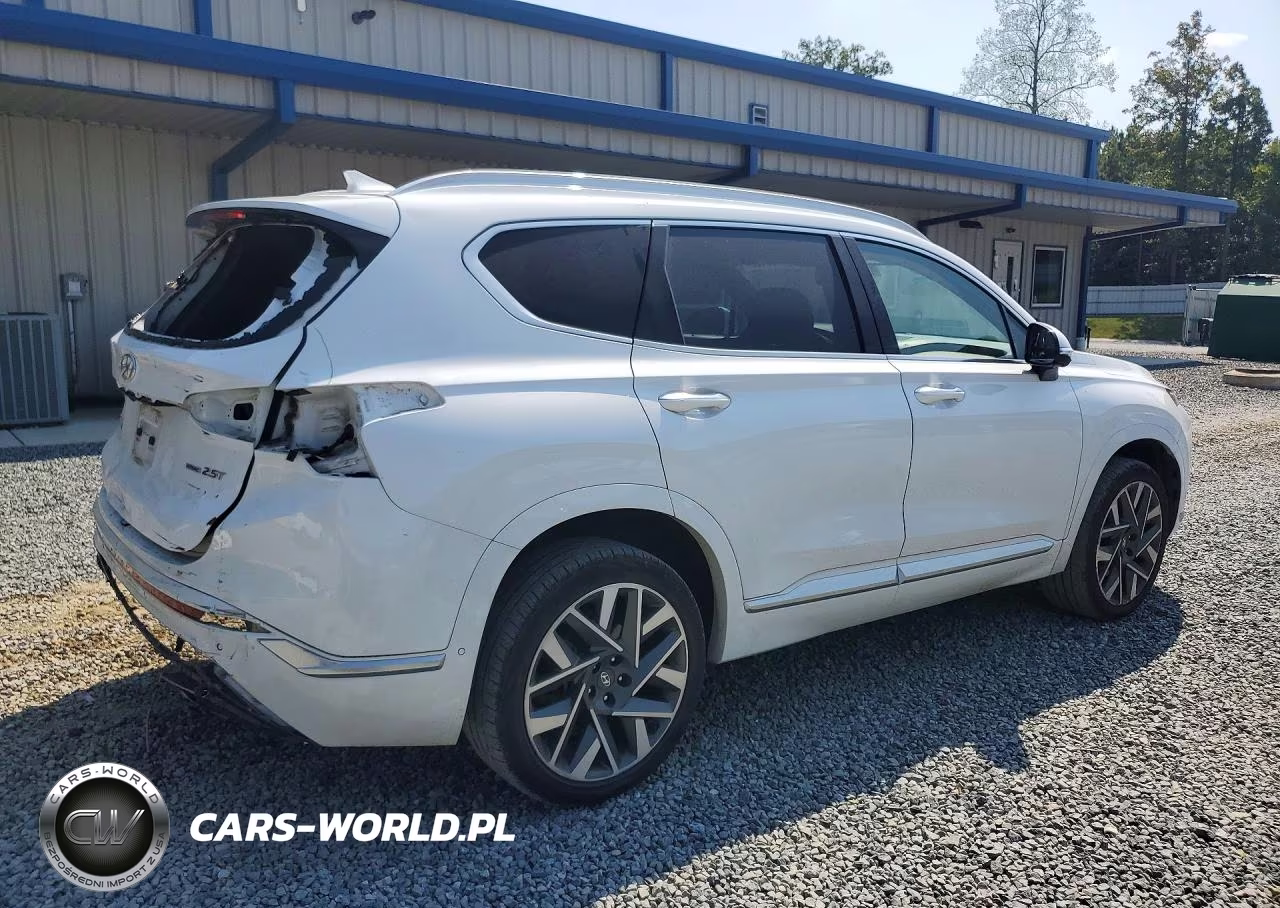 2021 Hyundai Santa Fe Calligraphy VIN:5NMS5DAL9MH348413 - 3