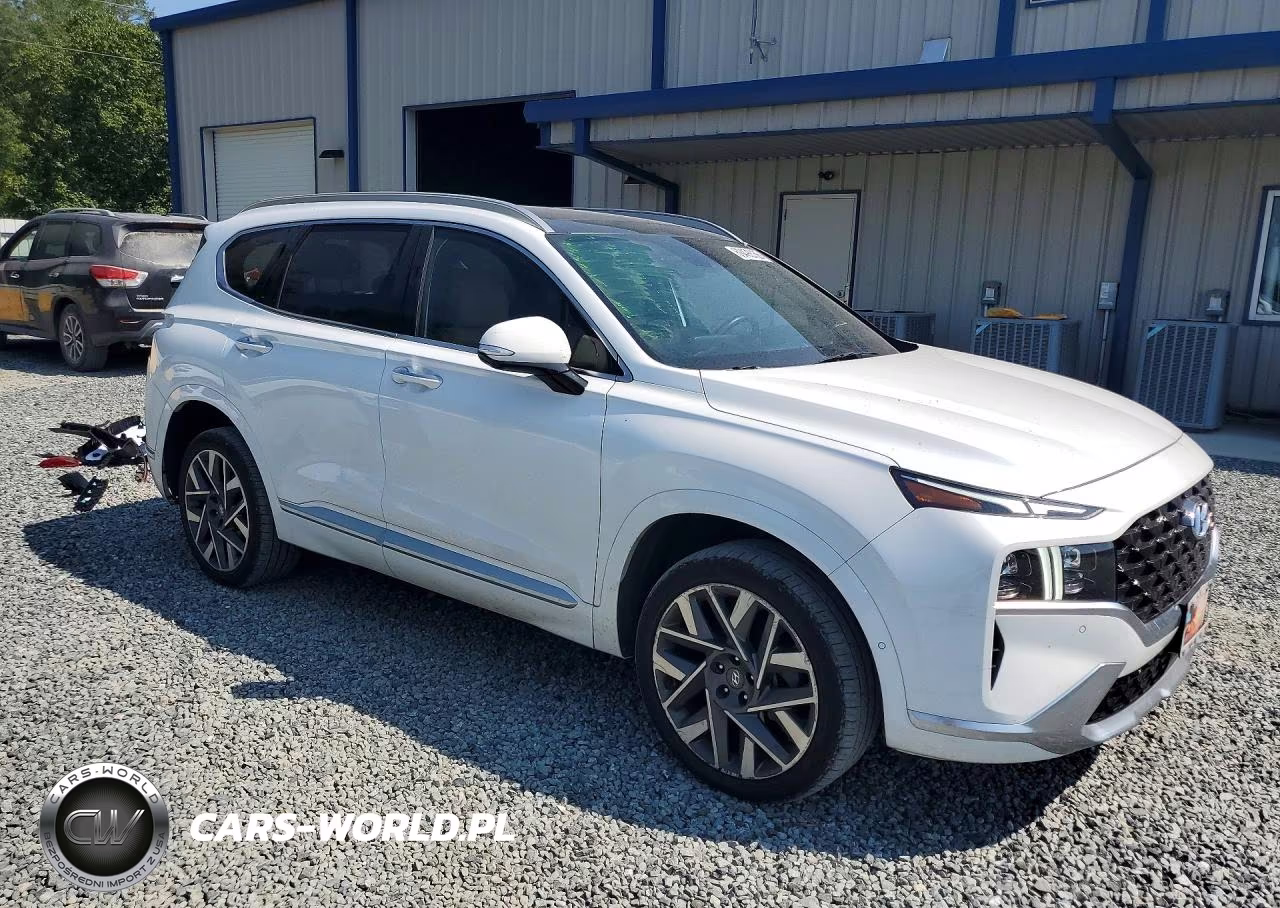 2021 Hyundai Santa Fe Calligraphy VIN:5NMS5DAL9MH348413 - 4