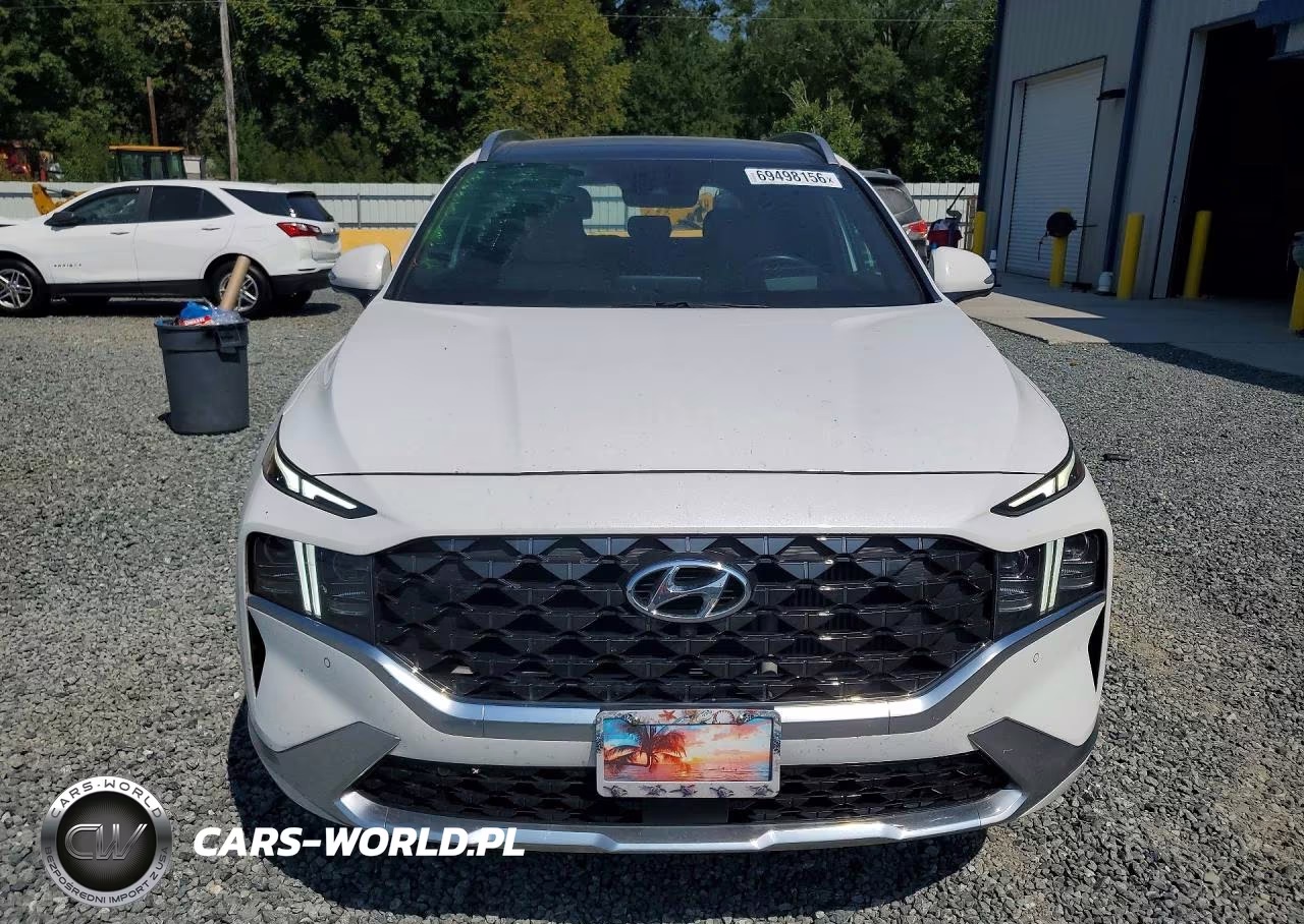 2021 Hyundai Santa Fe Calligraphy VIN:5NMS5DAL9MH348413 - 5