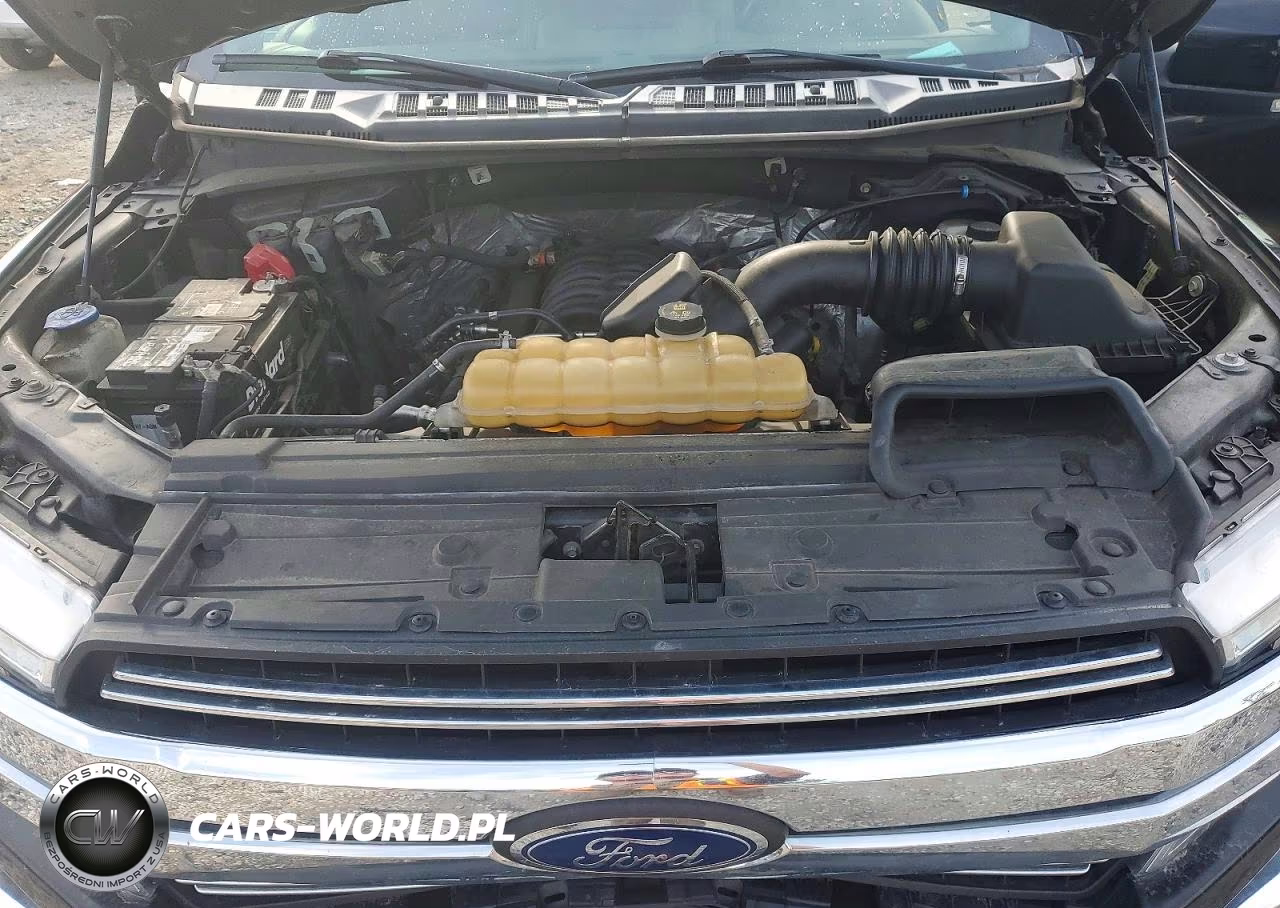 2019 Ford F150 Supercrew VIN:1FTEW1E58KFB49321 - 11