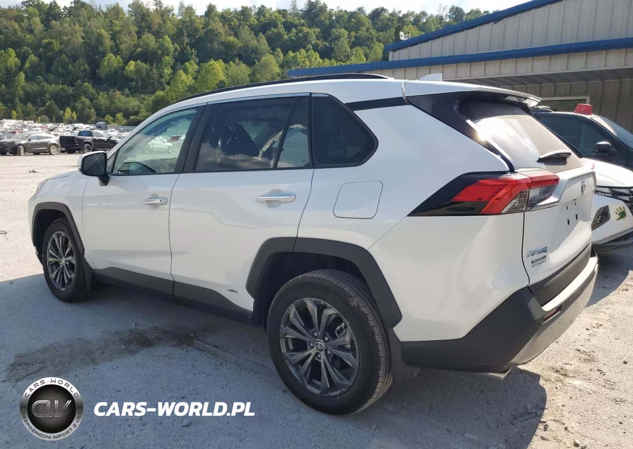 2023 Toyota Rav4 Limited VIN:4T3D6RFV6PU138073 - 2