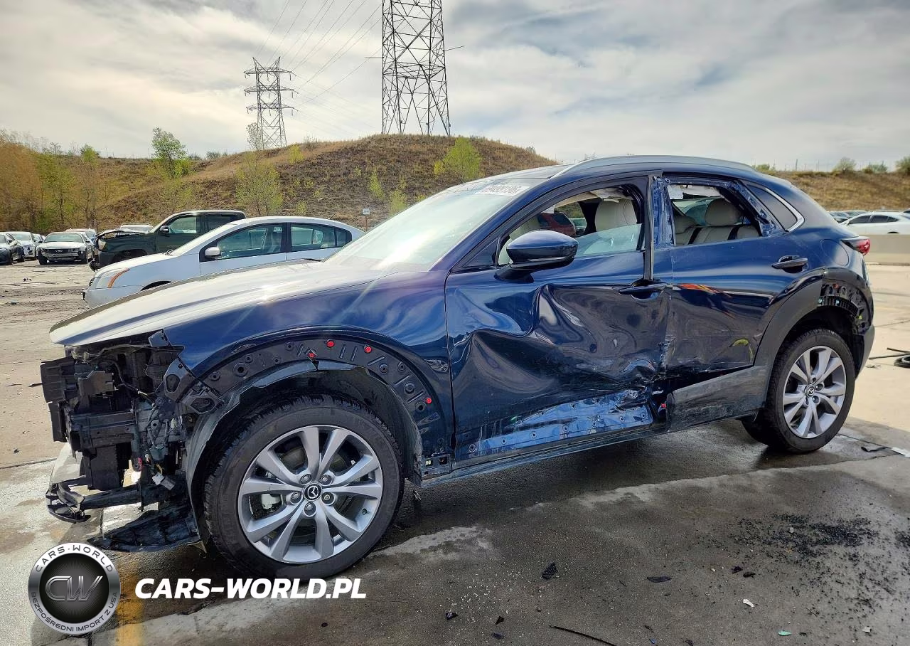 2022 Mazda Cx-30 Premium VIN:3MVDMBDL1NM418060 - 1