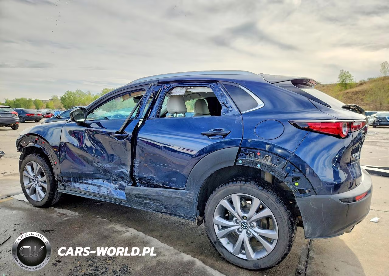 2022 Mazda Cx-30 Premium VIN:3MVDMBDL1NM418060 - 2