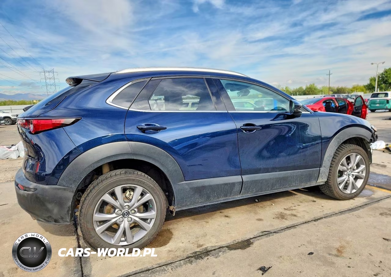 2022 Mazda Cx-30 Premium VIN:3MVDMBDL1NM418060 - 3