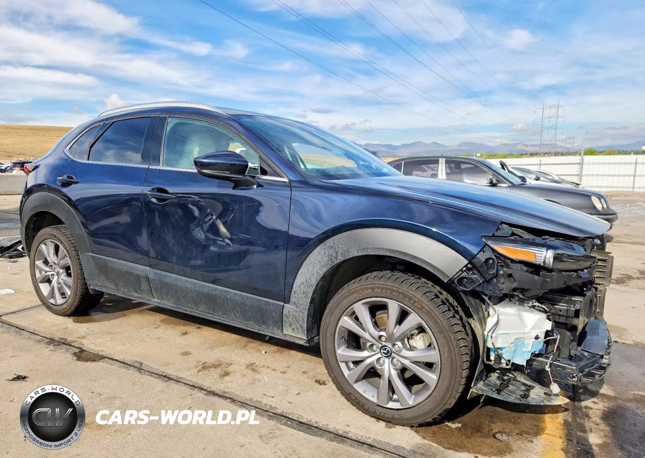 2022 Mazda Cx-30 Premium VIN:3MVDMBDL1NM418060 - 4
