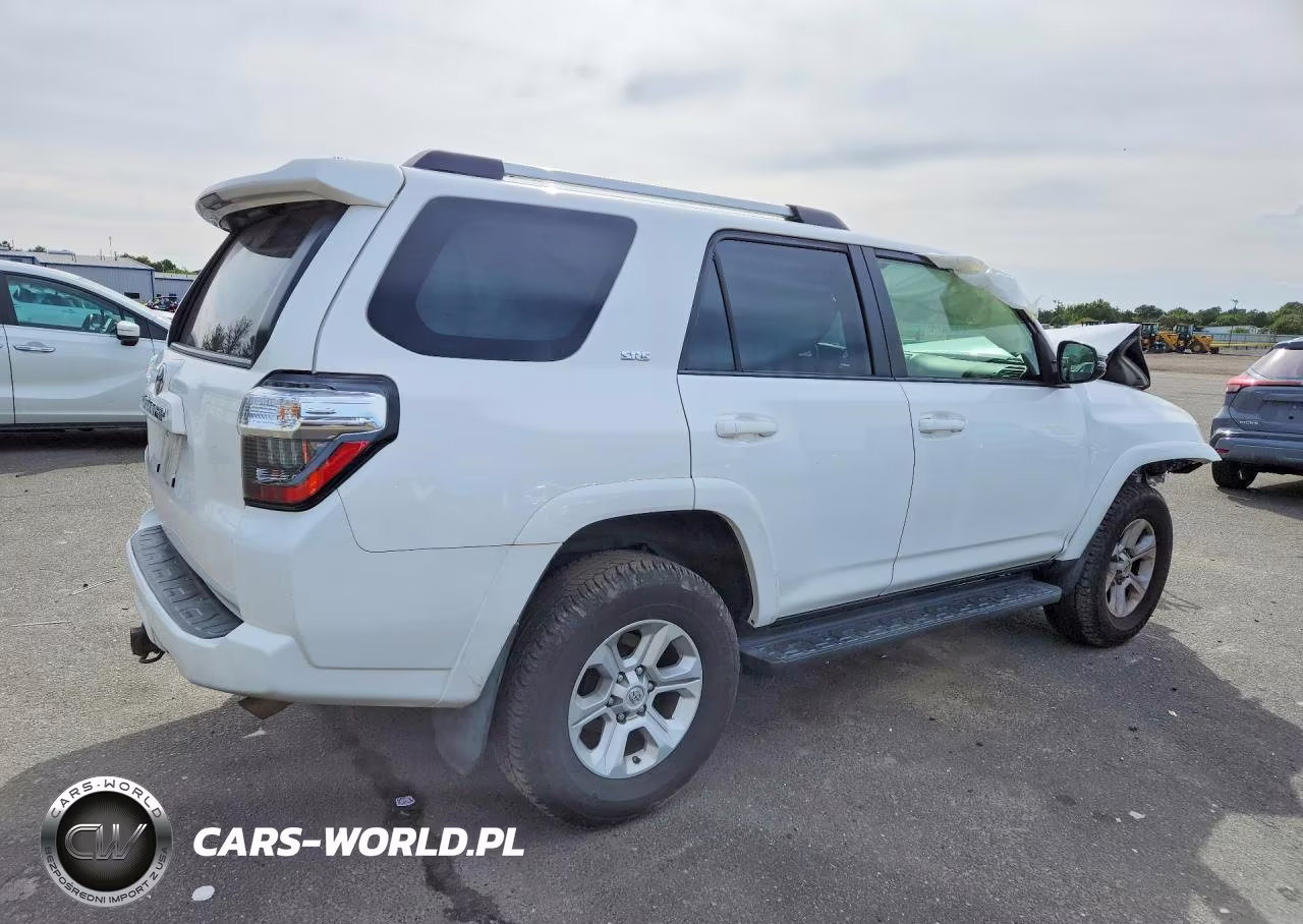 2019 Toyota 4Runner Sr5 Premium VIN:JTEBU5JR5K5684455 - 3