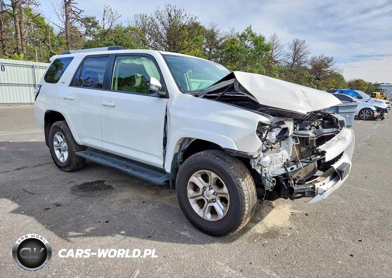 2019 Toyota 4Runner Sr5 Premium VIN:JTEBU5JR5K5684455 - 4
