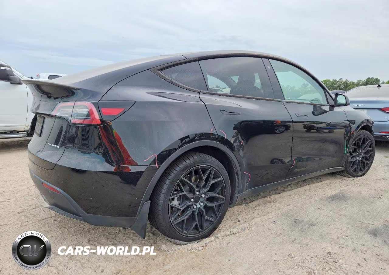 2023 Tesla Model Y VIN:7SAYGDEE5PA051807 - 3