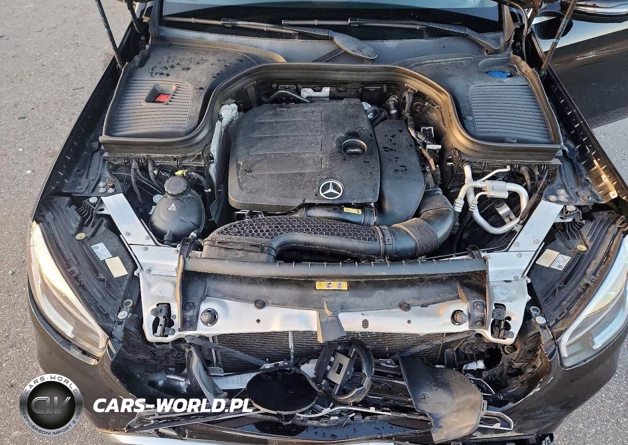 2020 Mercedes-Benz Glc VIN:W1N0G8DB2LF771477 - 12