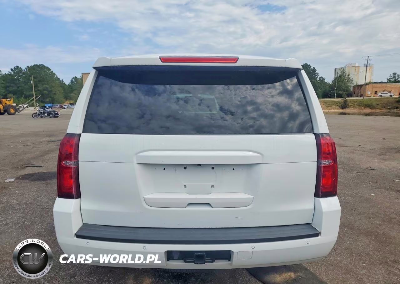 2020 Chevrolet Tahoe 2Wd Commercial Fleet VIN:1GNLCDEC4LR272430 - 3