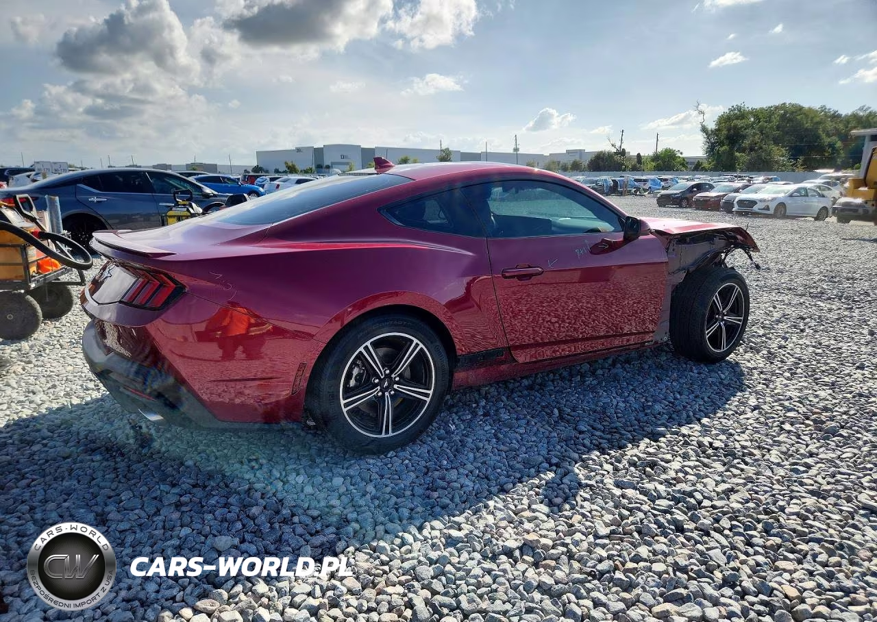2025 Ford Mustang VIN:1FA6P8TH3S5120215 - 3