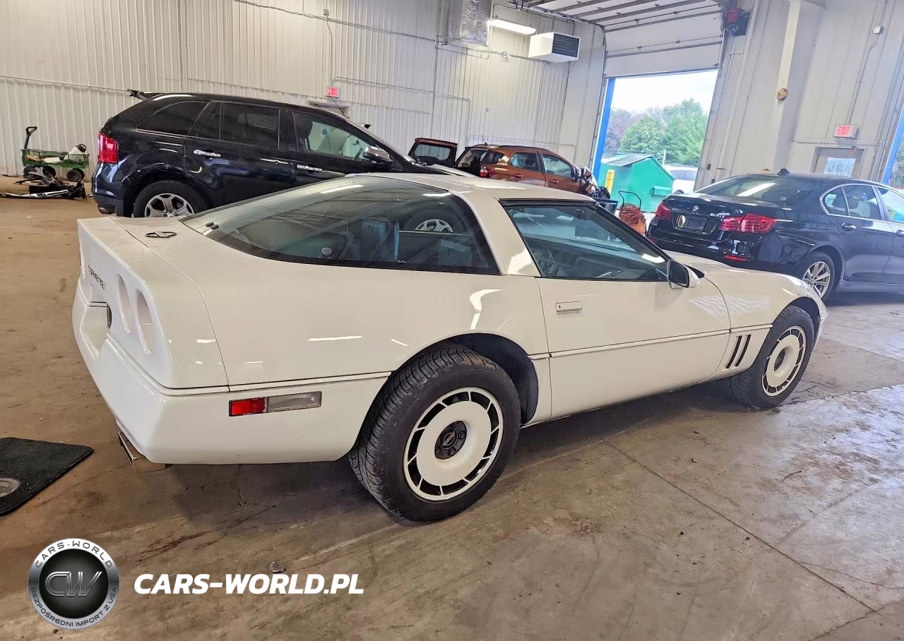 1985 Chevrolet Corvette VIN:1G1YY0786F5133499 - 3