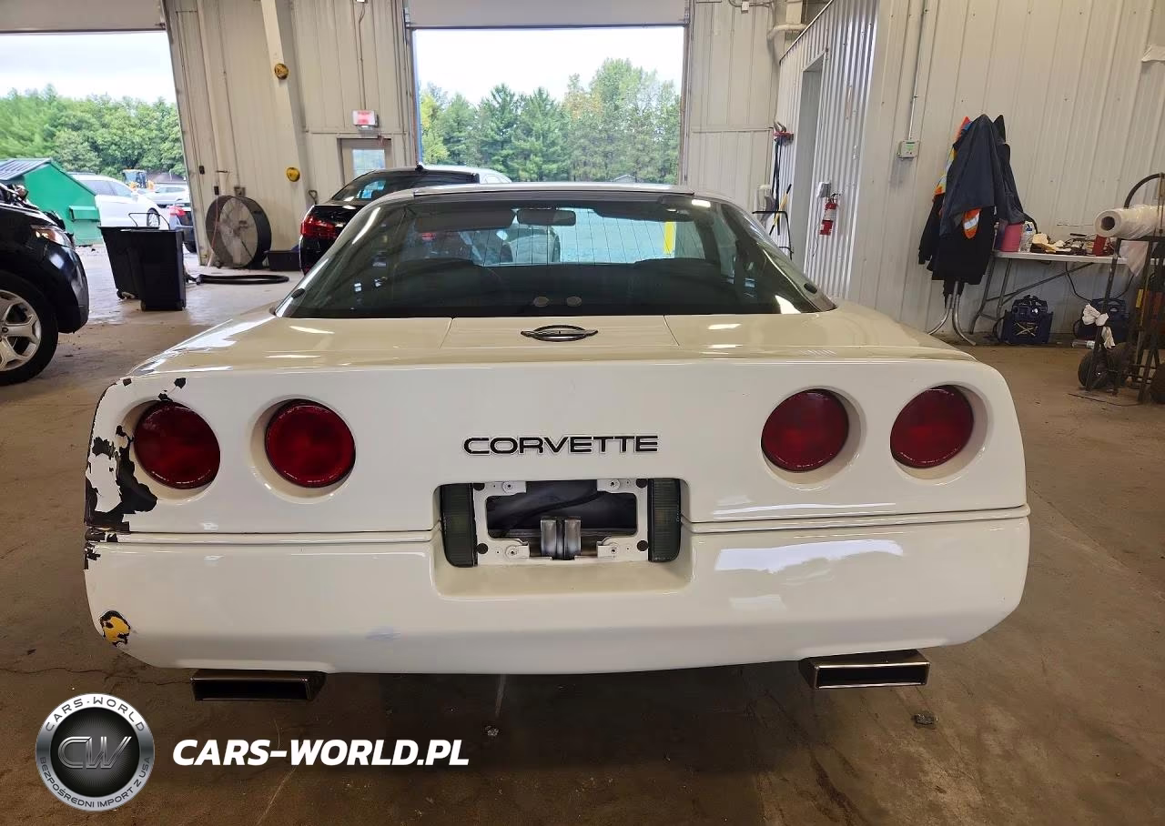 1985 Chevrolet Corvette VIN:1G1YY0786F5133499 - 6