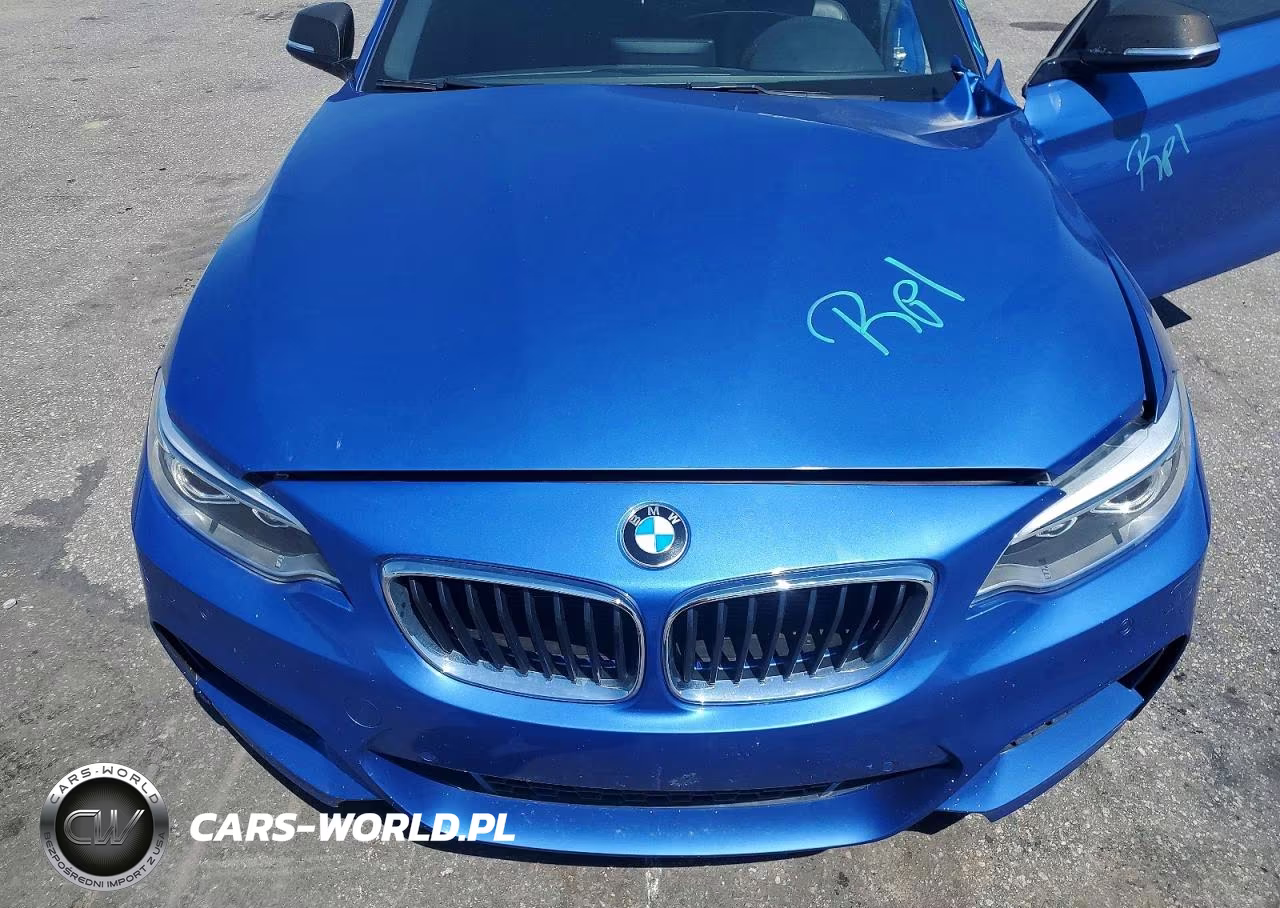 2015 BMW M235Xi VIN:WBA1J9C54FVX99190 - 11