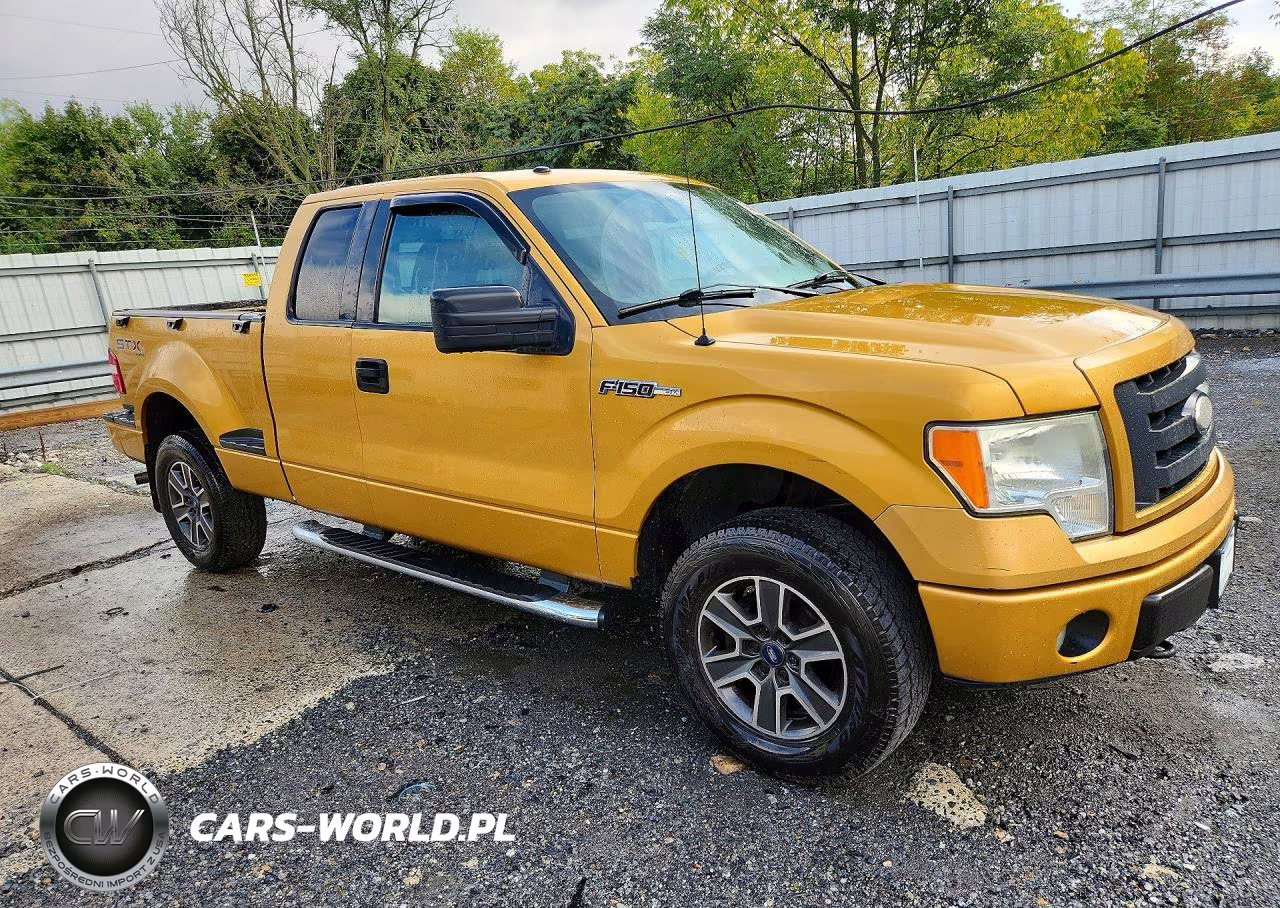 2009 Ford F150 Super Cab VIN:1FTRX04839KC53480 - 4