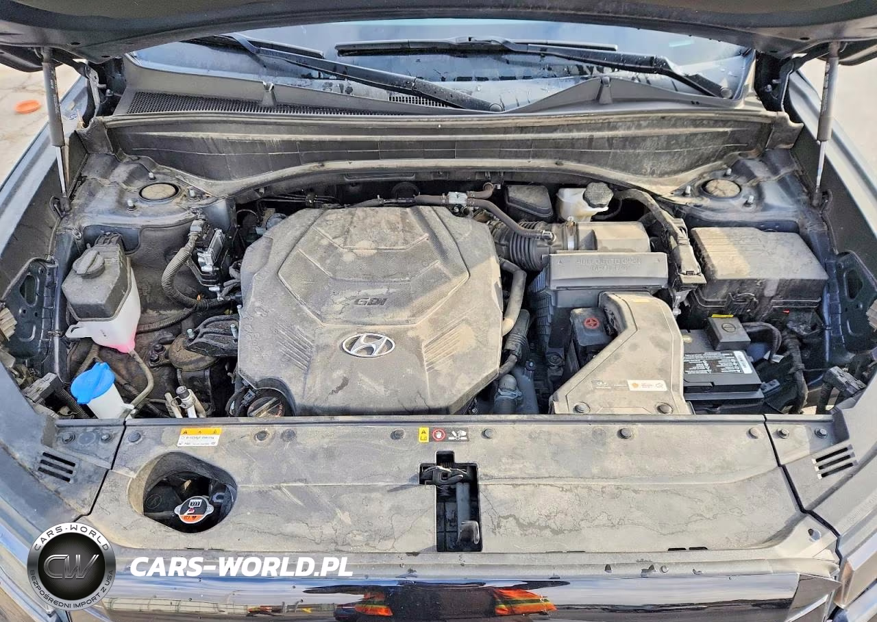 2023 Hyundai Palisade Limited VIN:KM8R5DGE4PU515485 - 12