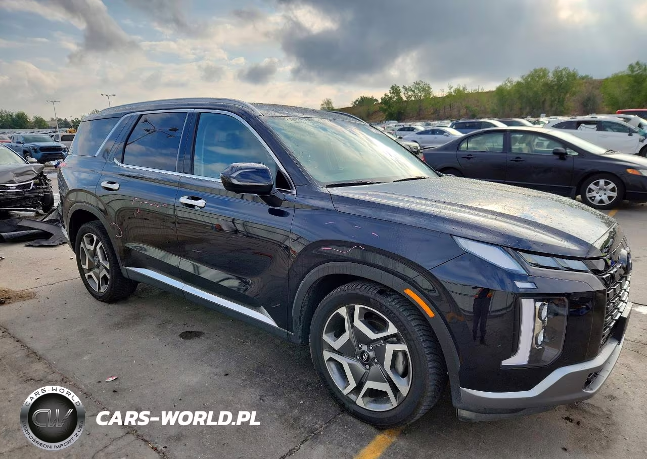 2023 Hyundai Palisade Limited VIN:KM8R5DGE4PU515485 - 4