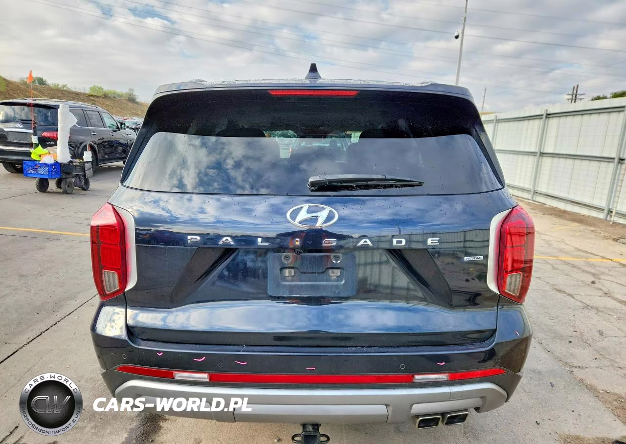 2023 Hyundai Palisade Limited VIN:KM8R5DGE4PU515485 - 6