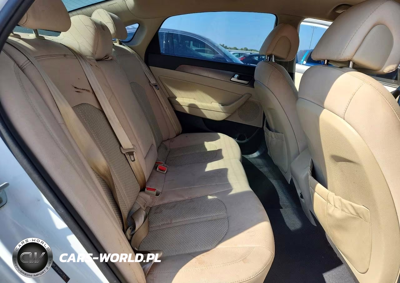 2016 Hyundai Sonata Sport VIN:5NPE34AF6GH433875 - 10
