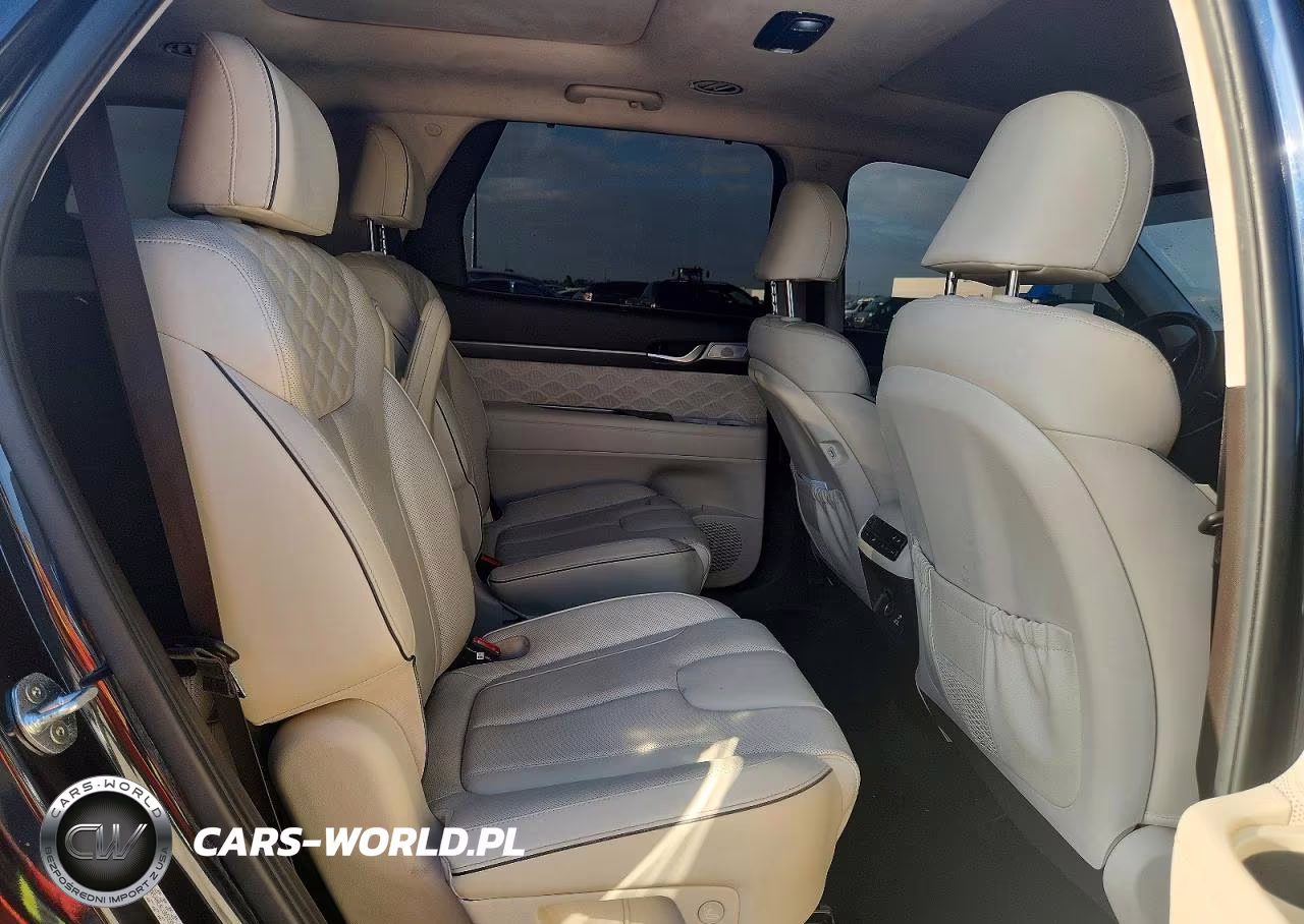 2020 Hyundai Palisade Limited VIN:KM8R54HE4LU052353 - 11