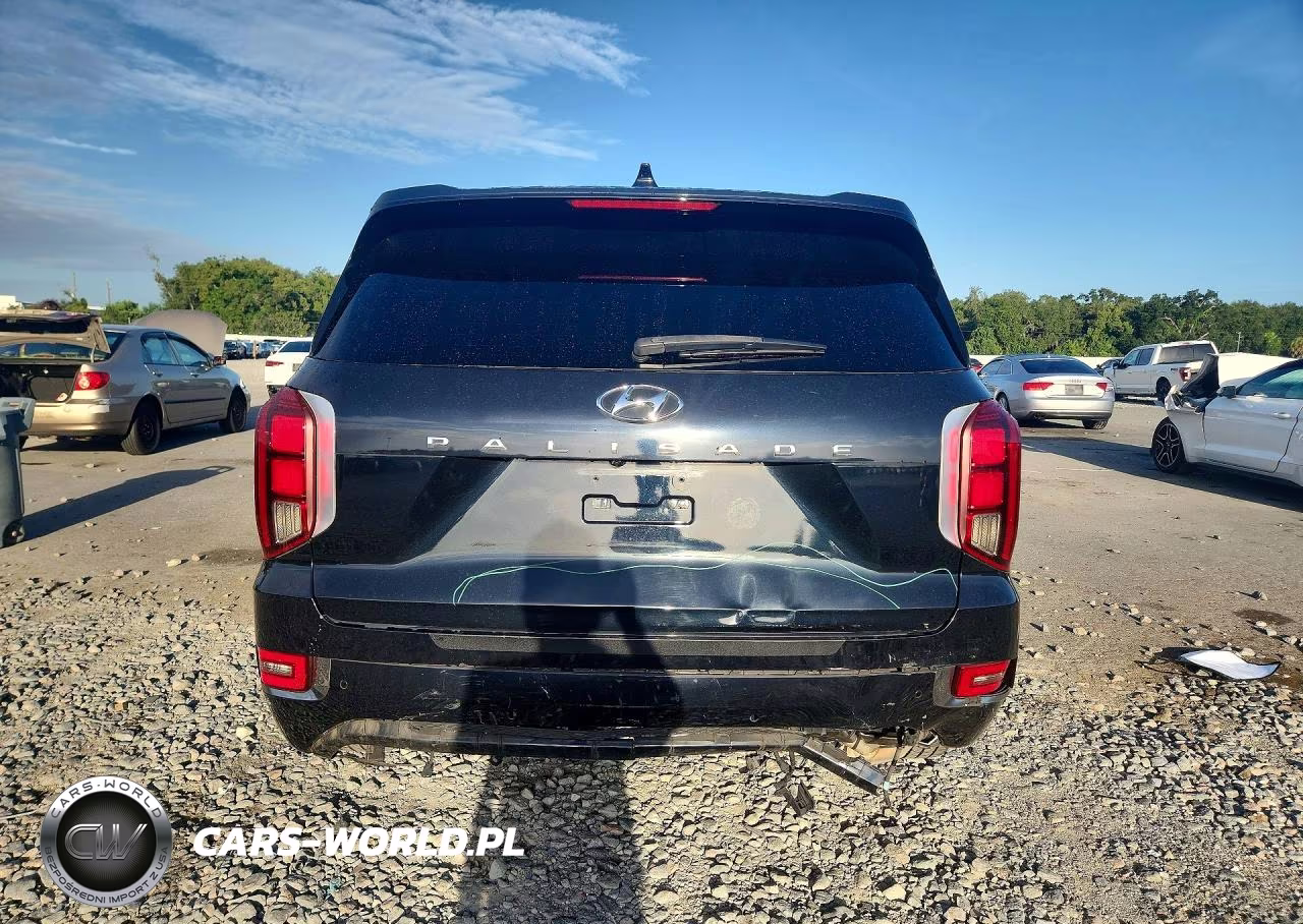 2020 Hyundai Palisade Limited VIN:KM8R54HE4LU052353 - 6