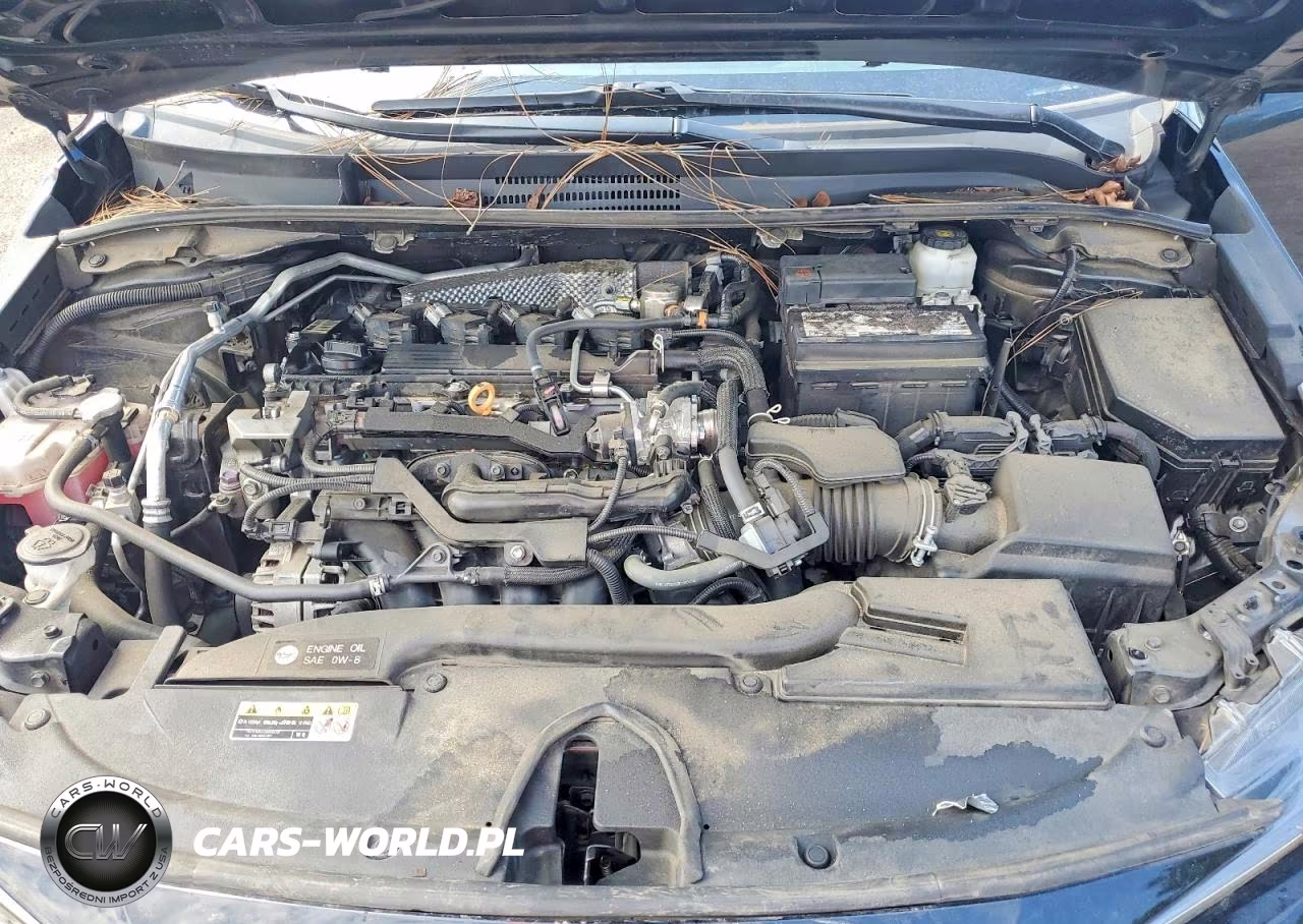 2024 Toyota Corolla Le VIN:5YFB4MDE3RP096901 - 11