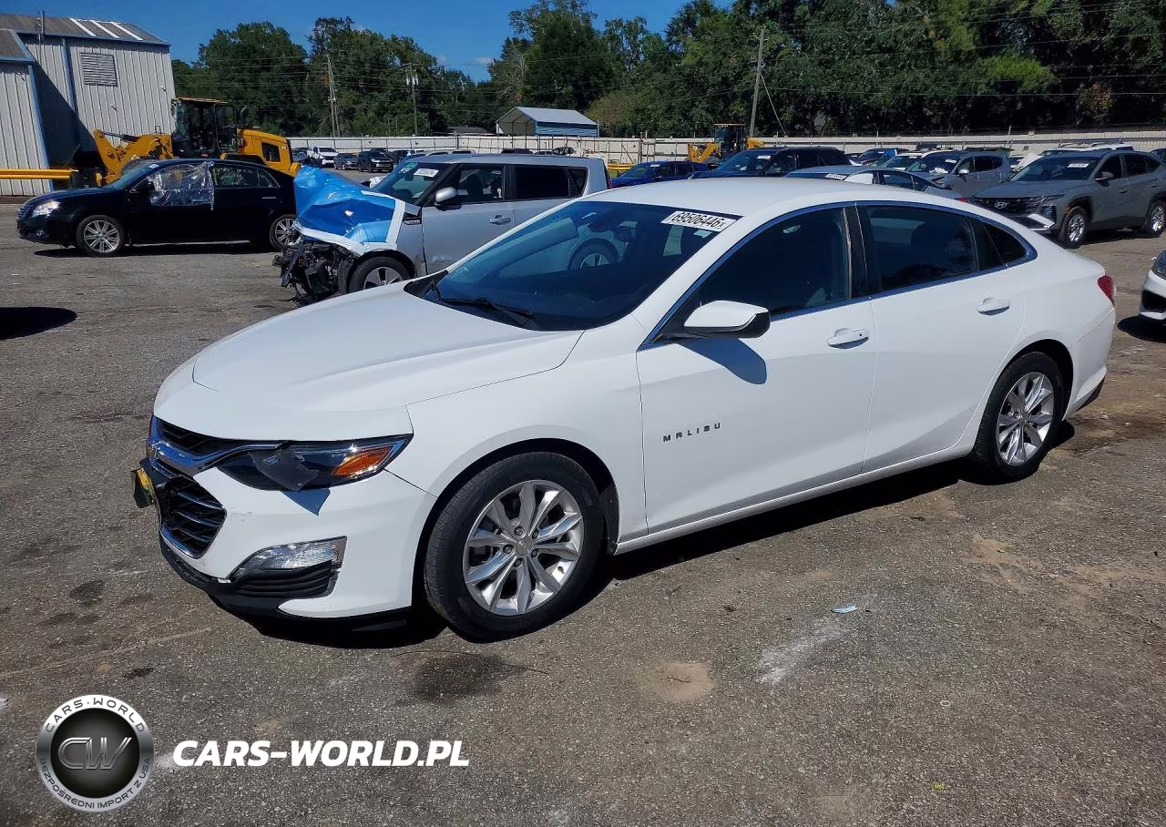 2019 Chevrolet Malibu Lt VIN:1G1ZD5STXKF108098 - 1